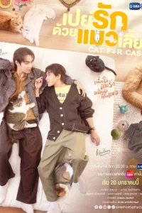 Кот за деньги